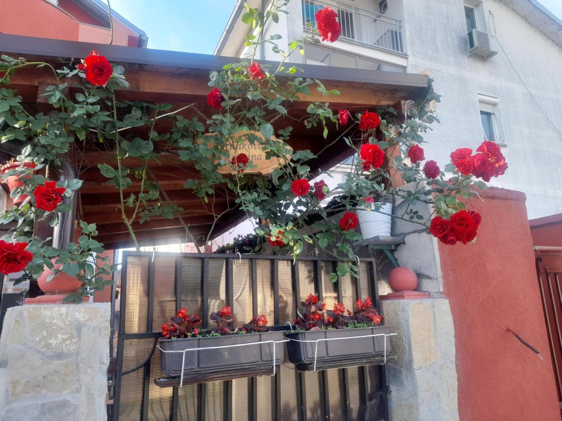 Guest House Mirijevski Konak Bělehrad Exteriér fotografie